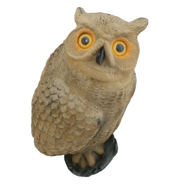 Krageugle 46cm Flock Lokkefugl