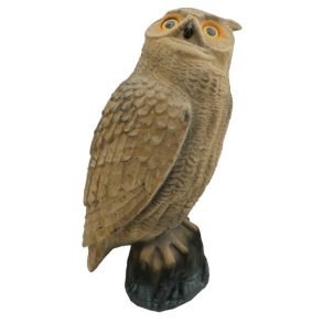 Krageugle 46cm Flock Lokkefugl