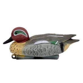 Krikand Han Lokkefugl