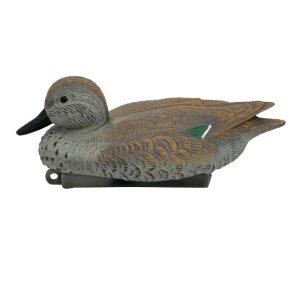 Krikand Hun Lokkefugl