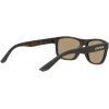 Leupold Katmai Matte Tortoise Bronze Mirror Skydebrille