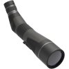 Leupold SX-4 Pro Guide HD Gen 2 20-60x85 Angled Spotting Scope