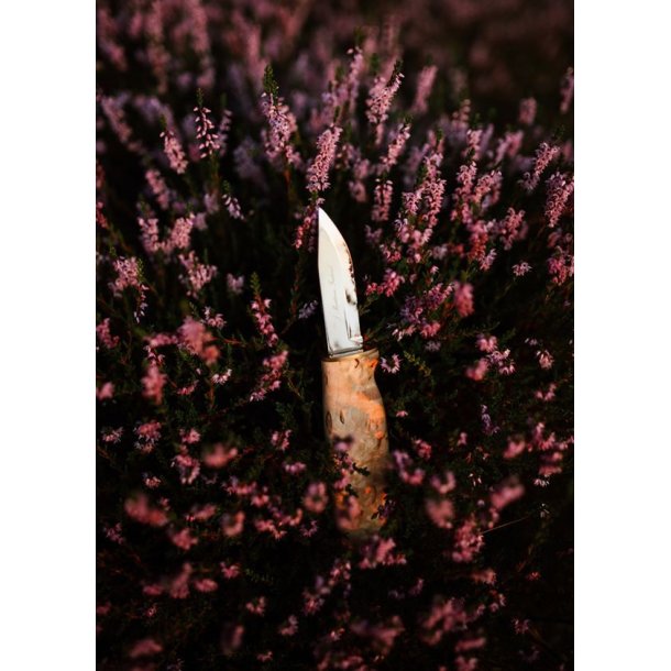 Martiini Handy Kniv Vokset Birk, Rustfrit Stl