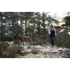 Non-stop dogwear Friction Long Line 15m Orange - Hundesnor