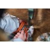 Non-stop dogwear Friction Long Line 15m Orange - Hundesnor