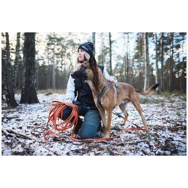 Non-stop dogwear Friction Long Line 15m Orange - Hundesnor