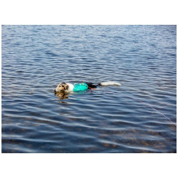 Non-stop dogwear Protector Round Long Line Orange, 15m