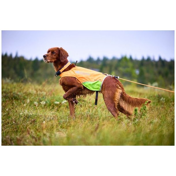 Non-stop dogwear Protector Round Long Line Orange, 15m