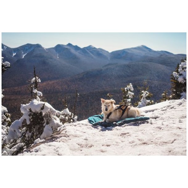 Non-stop dogwear Trekking dog bed Dark Teal, L