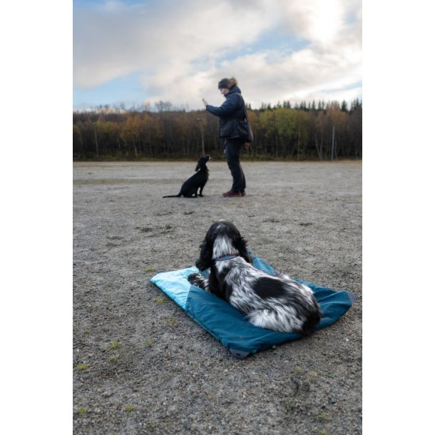 Non-stop dogwear Trekking dog bed Dark Teal, L