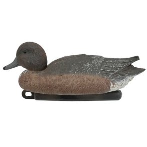 Pibeand Hun Lokkefugl