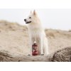 Q-Pet Tikki Lakseolie til hund og kat 1L