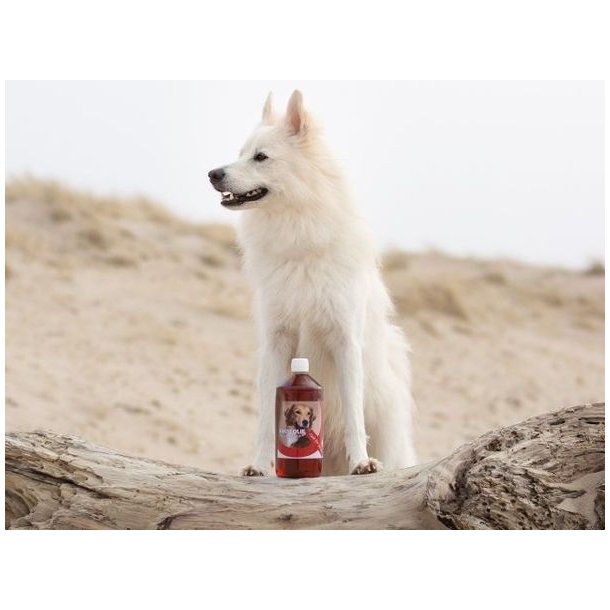 Q-Pet Tikki Lakseolie til hund og kat 1L