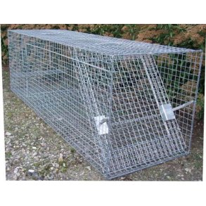 R�vef�lde, Ekstra Kraftig En indgang