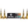 RWS 308Win Testpakke 4x5 patroner Hit,Eve,Green,Uni