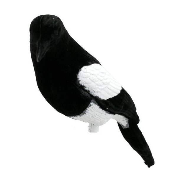 Skade m/Flock Lokkefugl