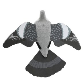 Skovdue Flock Skumvinger Lokkefugl