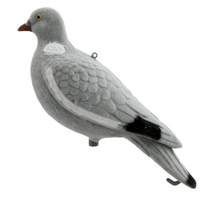 Skovdue Hel Flock Lokkefugl