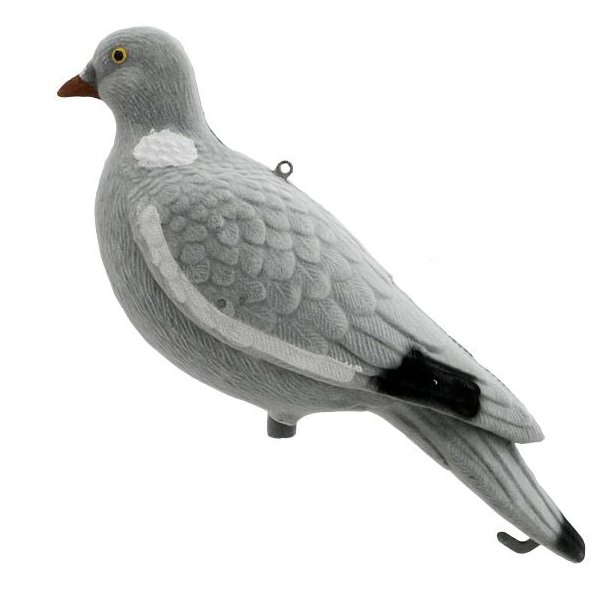 Skovdue Hel Flock Lokkefugl