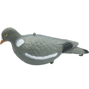 Skovdue Hel Lokkefugl