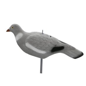 Skovdue Skal Flock Lokkefugl