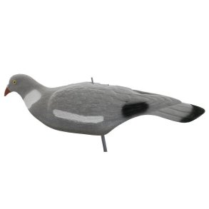 Skovdue Skal  Flock Magnum Lokkefugl