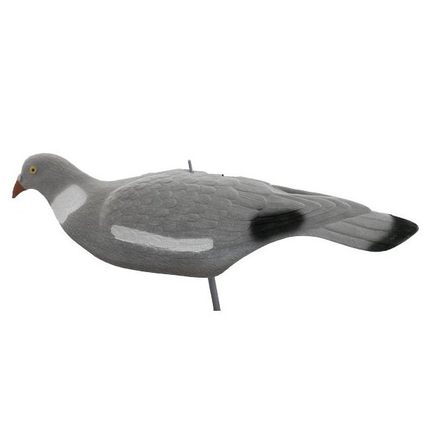 Skovdue Skal  Flock Magnum Lokkefugl