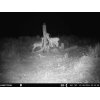 SP Wildlife Sliksten 10 kg