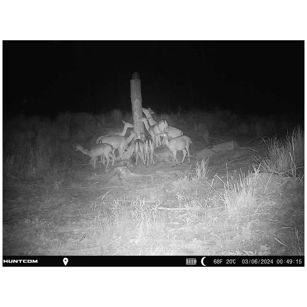 SP Wildlife Sliksten 10 kg