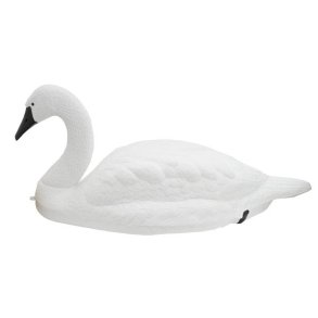 Svane Flydende Lokkefugl