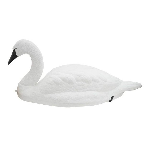 Svane Flydende Lokkefugl