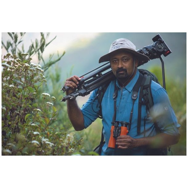 Swarovski NL Pure 10x42 Hndkikkert Burnt Orange