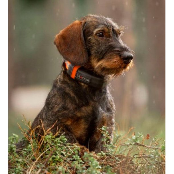 Tracker Luna GPS Halsb�nd