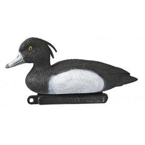 Troldand Han/Hun Lokkefugl