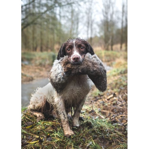 All In One Hare Dummy 1,8kg