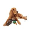 Barbour Dog Toy Flying Duck