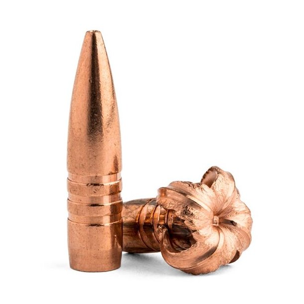 Barnes TSX .416 350gr FB (30529) 50 stk Blyfri Projektil