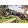 Ben Randall Distance Markeringsbold 125g Kanin