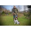 Ben Randall Rabbit Dummy 700g