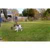 Ben Randall Rabbit Dummy 700g