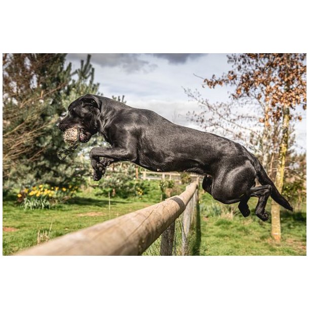 BG Distance Rabbit Ball 125g