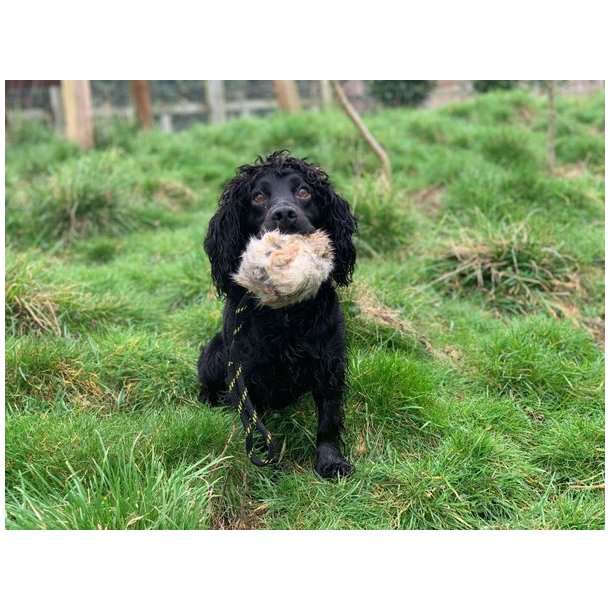 BG Scent Rabbit Ball 125g