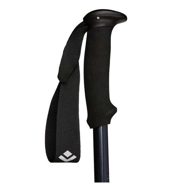 Black Diamond Explorer 2 Trekking Pole Ink Blue