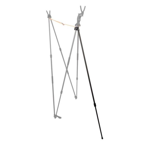 Blaser Carbon Stick 5th leg