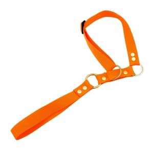 BLF Slips Hundeline 25mm Orange
