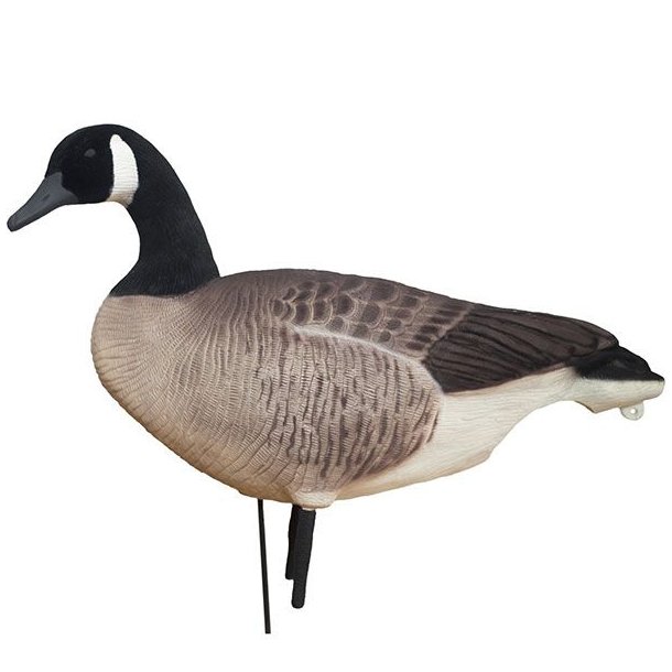 DK Wai Buster Decoy Canadags Flock 6 stk