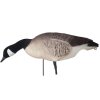 DK Wai Buster Decoy Canadags Flock 6 stk