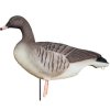 DK Wai Buster Decoy Kortnbbet Flock 6 stk.