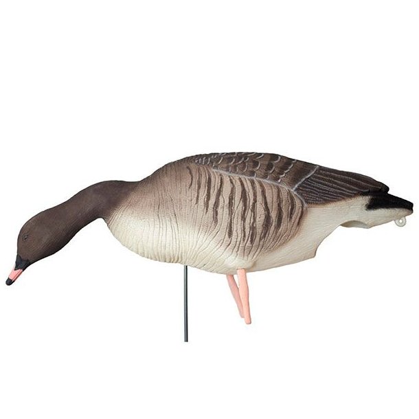 DK Wai Buster Decoy Kortnbbet Flock 6 stk.