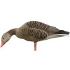DK Wai Greylag Grgs Flock Full Body Lokkefugl 6 Pack UDEN TASKE!!